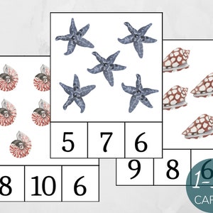 Seashell Count And Clip Cards 1-10, Montessori Activity, Summer Math Activity, Montessori Summer Preschool Game, Homeschool