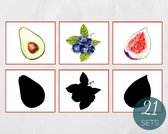 Colorful Fruit Shadow Matching Montessori Activity Summer - Etsy