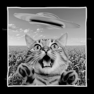 May include: A black and white photo of a cat looking up in surprise as a flying saucer hovers above it. The cat is in a field of tall grass.
