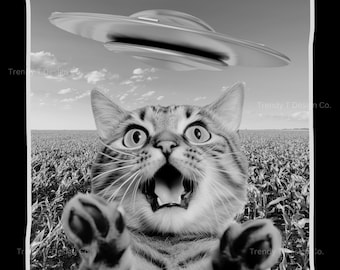 Funny Cat UFO Encounter PNG, Alien Abduction Png, Funny UFO Graphic Design Print File for Sweatshirt, Shirt Sublimation, Cat Lover Png Art