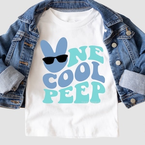 May include: White t-shirt with a blue and green graphic of a cartoon bunny wearing sunglasses and the text "One Cool Peep".