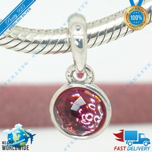 May include: A silver charm with a red gemstone pendant. The charm is attached to a silver chain. The charm is marked with "Purity 925 Sterling Silver".