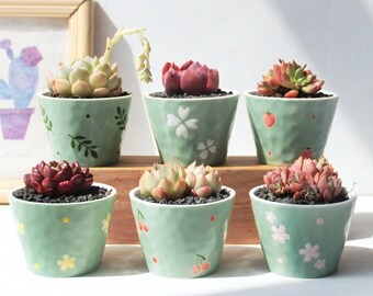 Cute Green Succulent Pots with Drainage Holes • Handmade Ceramic Planters Set for Indoor Plants, Cactus and Herbs • Small Mini Planters
