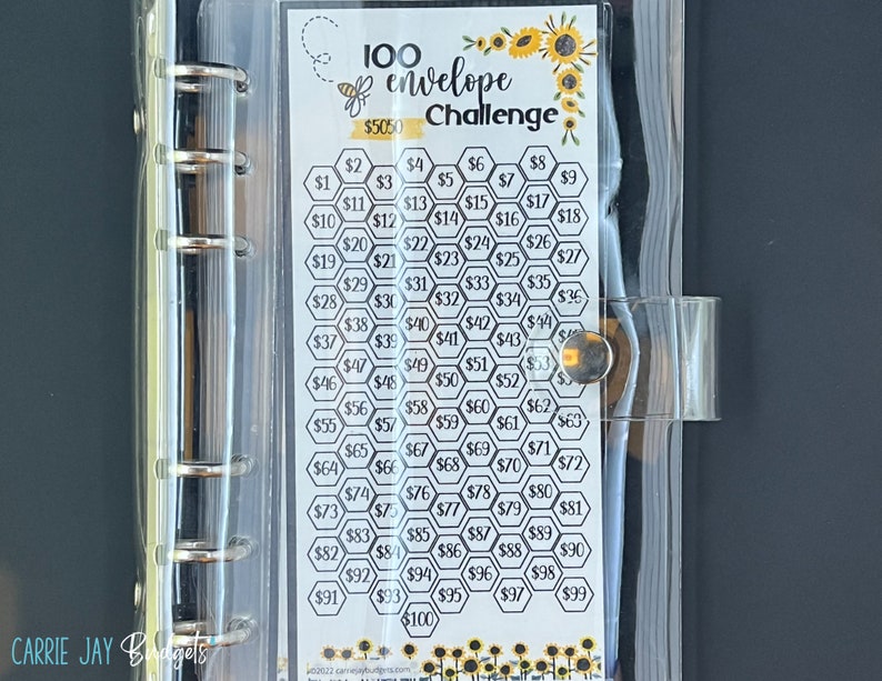 Laminated Savings Challenge Set of 9 Laminated Savings Trackers A6 Hole Punched and Laminated Budget planning Dave Ramsey Add On Clear Binder