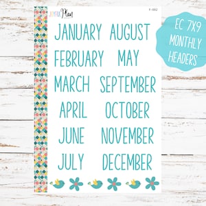 Color Monthly Planner Stickers | Month Planner Stickers | Planner Sticker Sheets | Planner Stickers 2022 | Bullet Journal Stickers