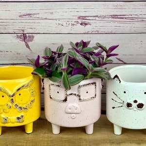 May include: Three ceramic plant pots with animal faces. The pot on the left is yellow and has an owl face. The pot in the middle is pink and has a pig face with glasses. The pot on the right is white and has a cat face.