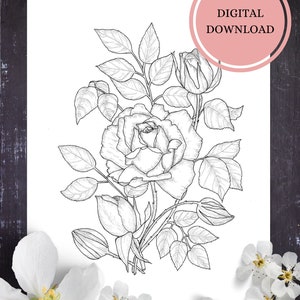 Rose flower Coloring Page/Instant Download Coloring Page for Adults