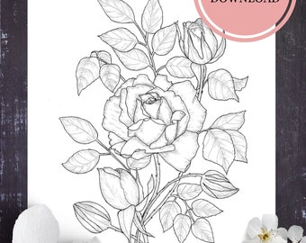 Kleurplaat roos: handgemaakte bloemenlijntekeningen (pdf/jpg download)