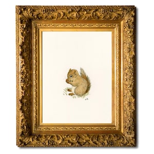 Op de afbeelding: Een ingelijste illustratie van een bruin en beige eekhoorn die een noot vasthoudt. Het kunstwerk is geplaatst in een sierlijke, goudkleurige lijst. De achtergrond is wit.