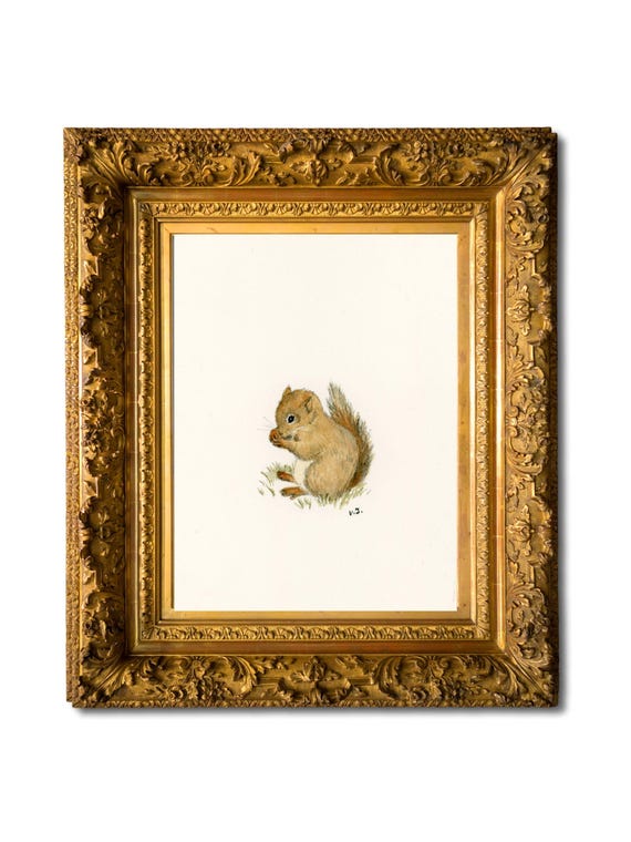 Baby squirrel pen and watercolor illustration. Art print.