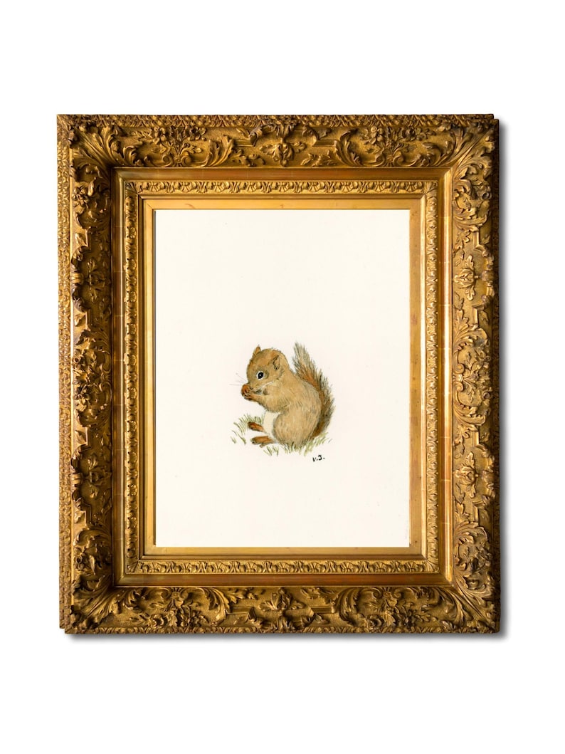 Op de afbeelding: Een ingelijste illustratie van een bruin en beige eekhoorn die een noot vasthoudt. Het kunstwerk is geplaatst in een sierlijke, goudkleurige lijst. De achtergrond is wit.