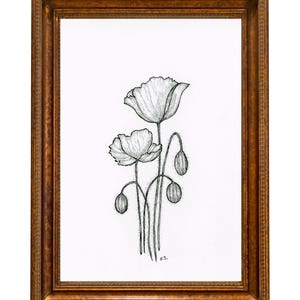 Poppy flower pen & ink drawing. Art print. Minimalist art.