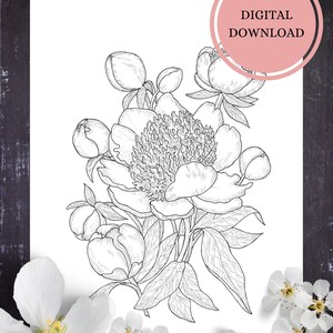 Peony Flower Coloring Page/Instant Download Coloring Page for Adults
