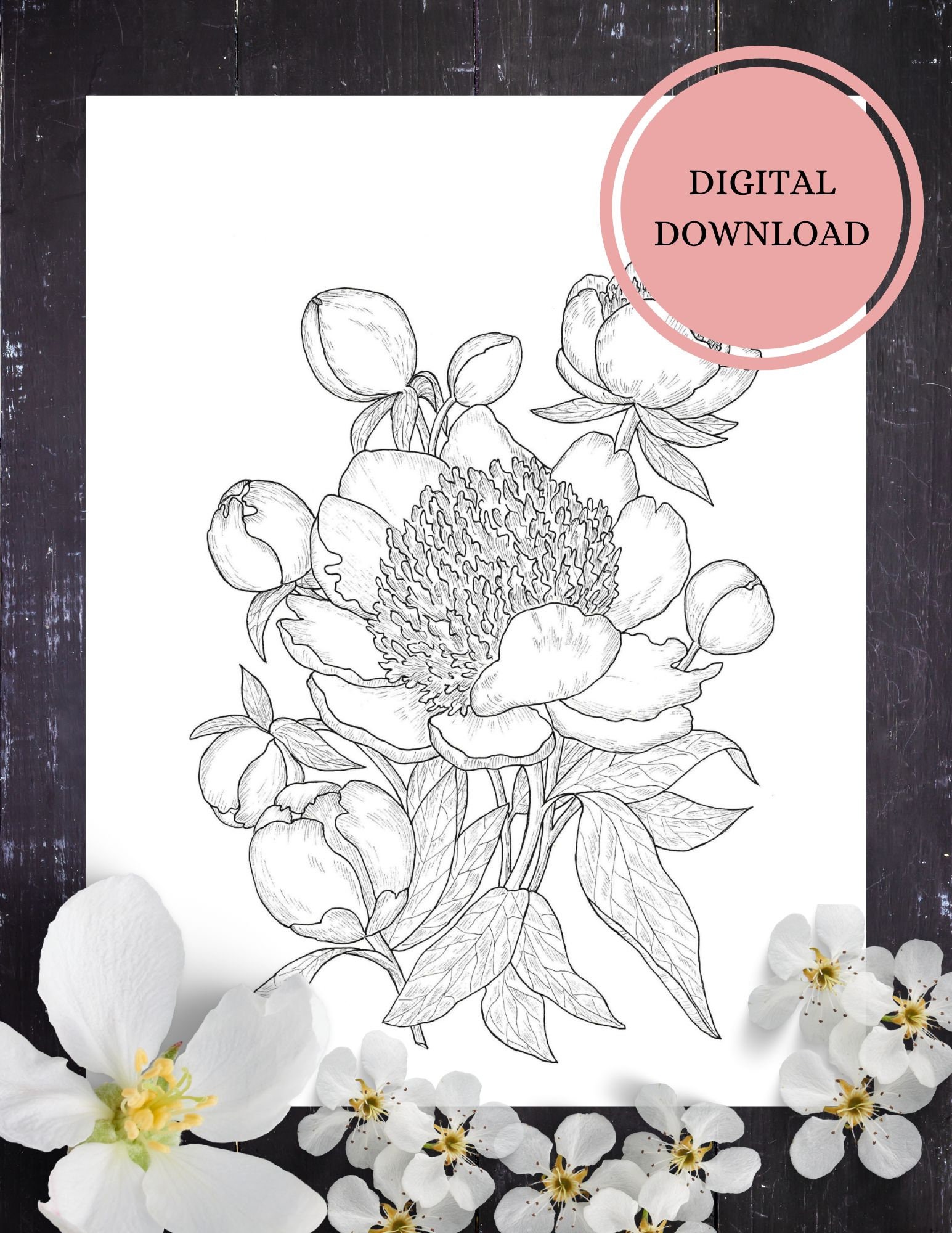 Peony Flower Coloring Page/instant Download Coloring Page for Adults - Etsy