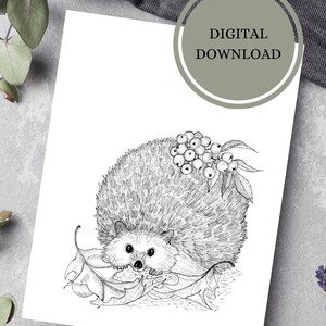 Hedgehog Coloring Page For Adults and Children/Instant Download Coloring Page
