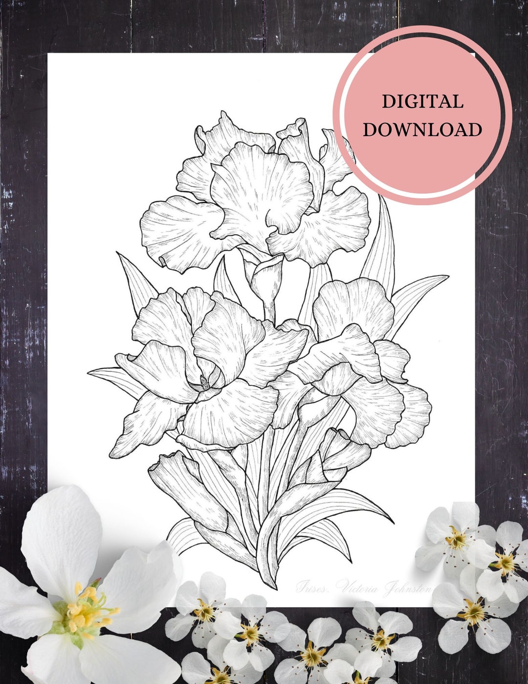 Iris Flower Coloring Page/instant Download Coloring Page for Adults and ...