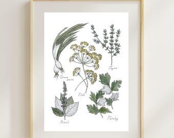 Herbs Watercolor Art Print: Kitchen Wall Decor (8.5 x 11 in)