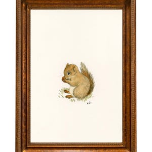 Op de afbeelding: Een ingelijste aquarel van een bruin eekhoorntje dat op gras zit en een noot eet. Het kunstwerk staat tegen een witte achtergrond en is ingelijst in een donkerbruine houten lijst. De schildering heeft een vintage uitstraling.