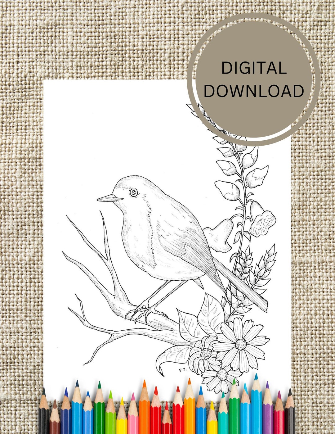 Bird Coloring Page. Robin Coloring Page. Art Therapy for Kids and