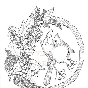 Red Cardinal Christmas Coloring Page/Adult Coloring Page/Kids Coloring Page