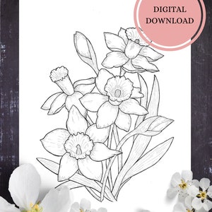 Daffodil Flower Coloring Page/Instant Download Coloring Page for Adults