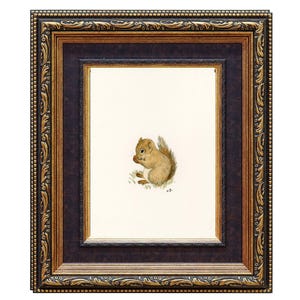Op de afbeelding: Een ingelijste aquarelprint van een eekhoorn. Het kunstwerk toont een gedetailleerde weergave van een eekhoorn in bruin- en beigetinten, met een noot. De lijst is sierlijk, met een donkerbruine binnenrand en een goud-zwarte buitenlijst.