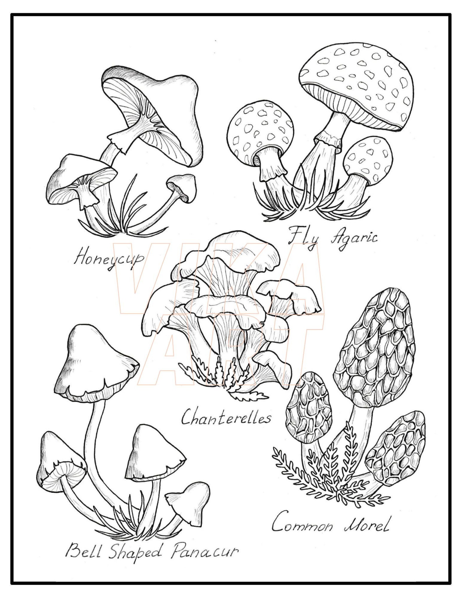 Mushroom Coloring Page: Handmade Fungi Line Art (PDF Download) - Etsy UK