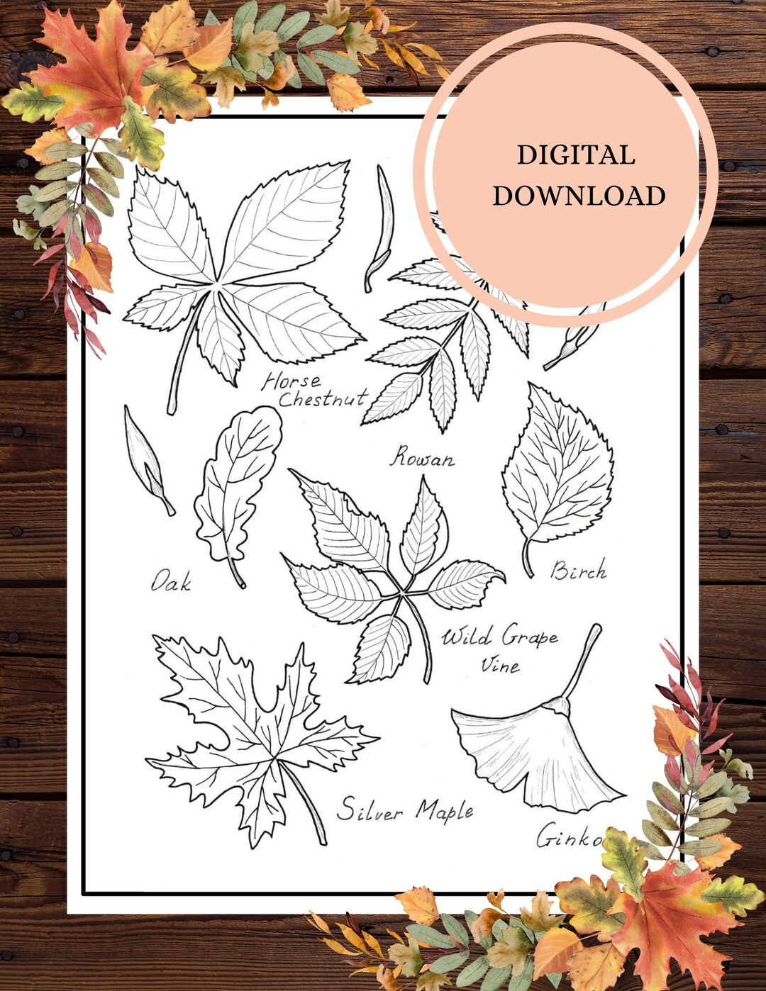 Autumn Leaves Coloring Page/instant Download Coloring Page for Adults ...