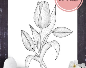 Tulips Coloring Page/Instant Download Flower Coloring Page for Adults and Kids