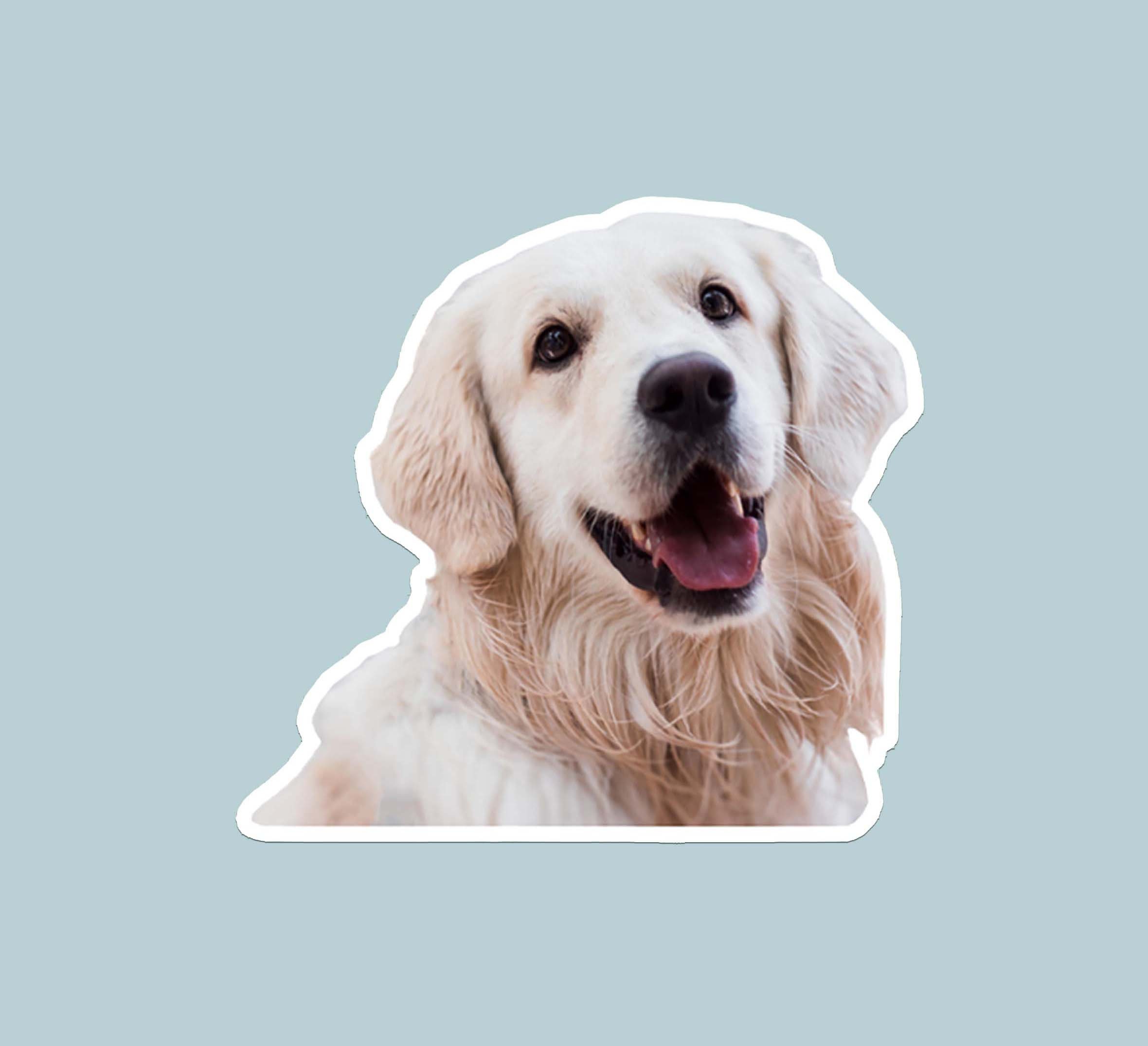personalized pet stickers