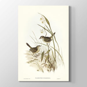 Wall Art Home Decor Vogels Dieren Ontwerpen Fijne Kunst Hoge Kwaliteit Canvas Schilderij Slaapkamer, Cafe Restaurant Print Muur Decor