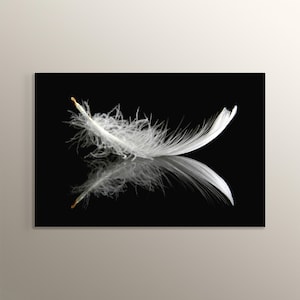 Black Background White Feather Modern Home Office MDF Wall Art Painting Living Room Decoration Housewarming Gift Soft Feather