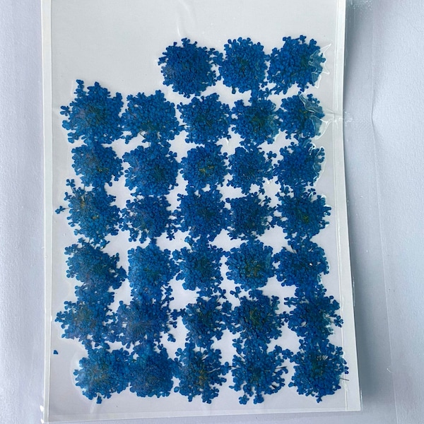 100pc Pressed Lace Flowers, Blue Flowers, Dried Flowers, Flowers for Resin, Queen Annes Lace, Nail Art, Resin Craft Supplies