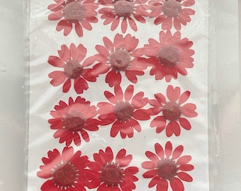 Pressed Daisy Flowers, Red Daisies, Dried Flowers For Resin, Resin Craft Supplies, Nail Art, Preserved Flowers, Card Making, Scrapbooking