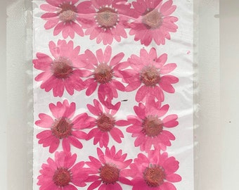 Pressed Daisy Flowers, Pink Daisies, Dried Flowers For Resin, Resin Craft Supplies, Nail Art, Preserved Flowers, Card Making, Scrapbooking