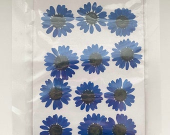 Pressed Daisy Flowers, Blue Daisies, Dried Flowers For Resin, Resin Craft Supplies, Nail Art, Preserved Flowers, Card Making, Scrapbooking