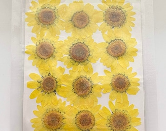 Pressed Daisy Flowers, Yellow Daisies, Dried Flowers For Resin, Resin Craft Supplies, Nail Art, Preserved Flowers, Card Making, Scrapbooking