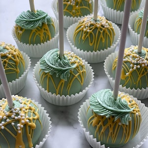 Luxury Cake Pops fully coated in high quality Belgium chocolate, decorated to any occasion (wide range of colours available).Price per item!