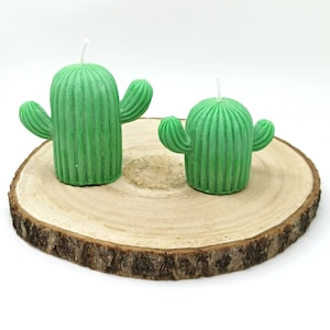 Könnte beinhalten: Zwei grüne Kaktus-förmige Kerzen auf einer Holzscheibe. Die Kerzen sind unterschiedlich groß und haben eine gerippte Textur.