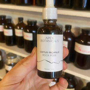 Cistus incanus Tincture | Cistus Tincture | Rock Rose Tincture | Buhner Herb | Buhner Protocol