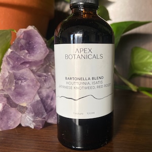 Bart Blend: Houttuynia, Isatis, Japanese Knotweed, Red Root | Buhner Protocol, Buhner Herbs