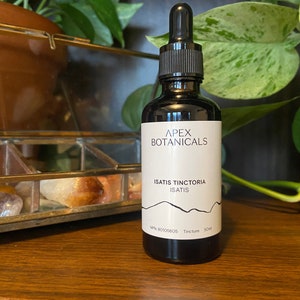 Isatis tinctoria | Isatis Tincture | TCM Herbs | Buhner Herbs