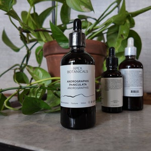 Andrographis Tincture | Andrographis paniculata | Buhner Protocol | Buhner Herbs