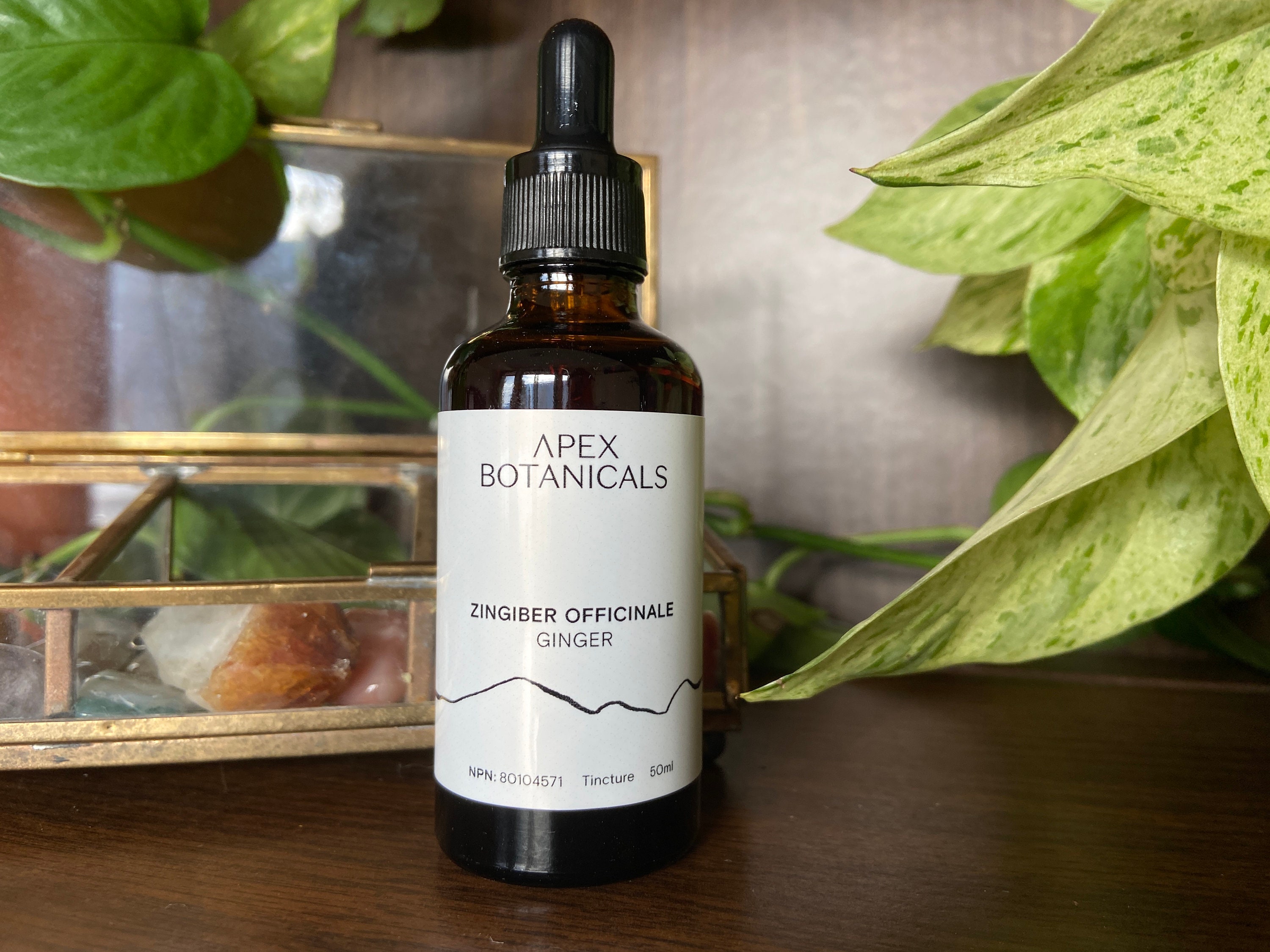 Pregnancy Tincture - Etsy