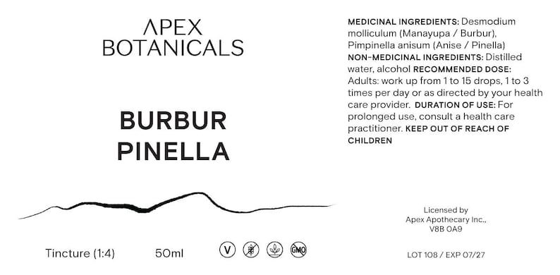 Burbur Pinella Tincture | Desmodium molliculum | Pimpinella anisum | Buhner Protocol