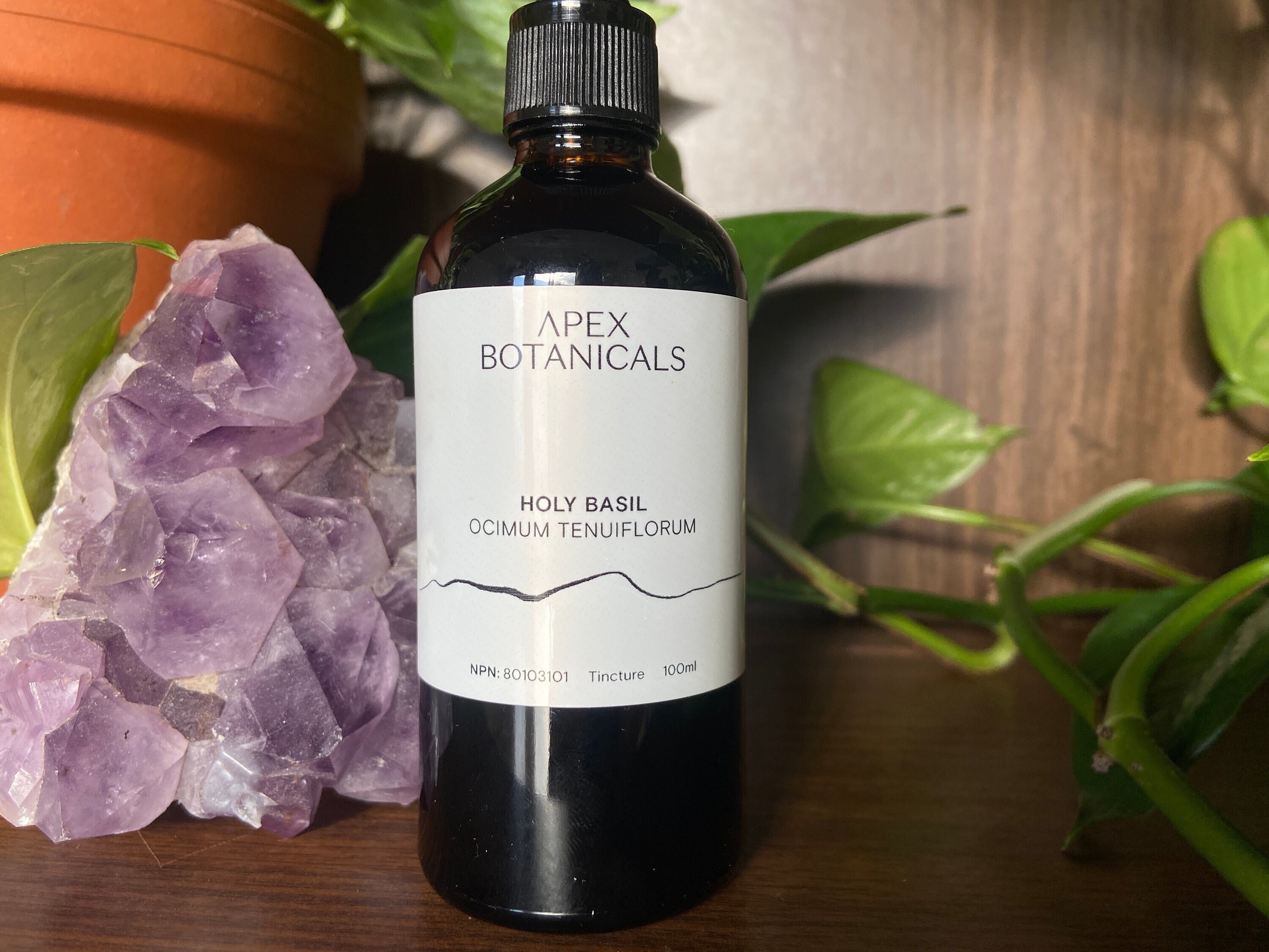 Holy Basil Tincture, Ocimum Tenuiflorum, Adaptogenic Tincture, Tulsi