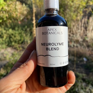 Neuro-L Blend | Teasel Root, Sarsaparilla Root, Uncaria tomentosa, Polygonum cuspidatum, Isatis tinctoria
