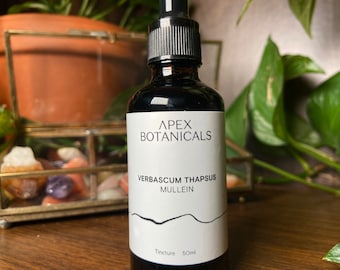 Mullein Tincture | Mullein Leaf | Mullein Extract | Verbascum densiflorum