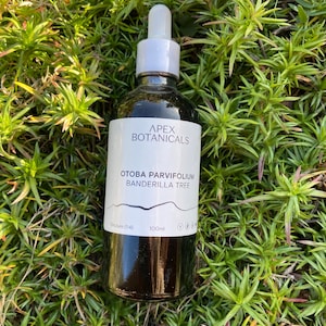 Otoba Bark Tincture, Banderol Tincture | Buhner Herbs, Buhner Protocol, Botanical Extracts