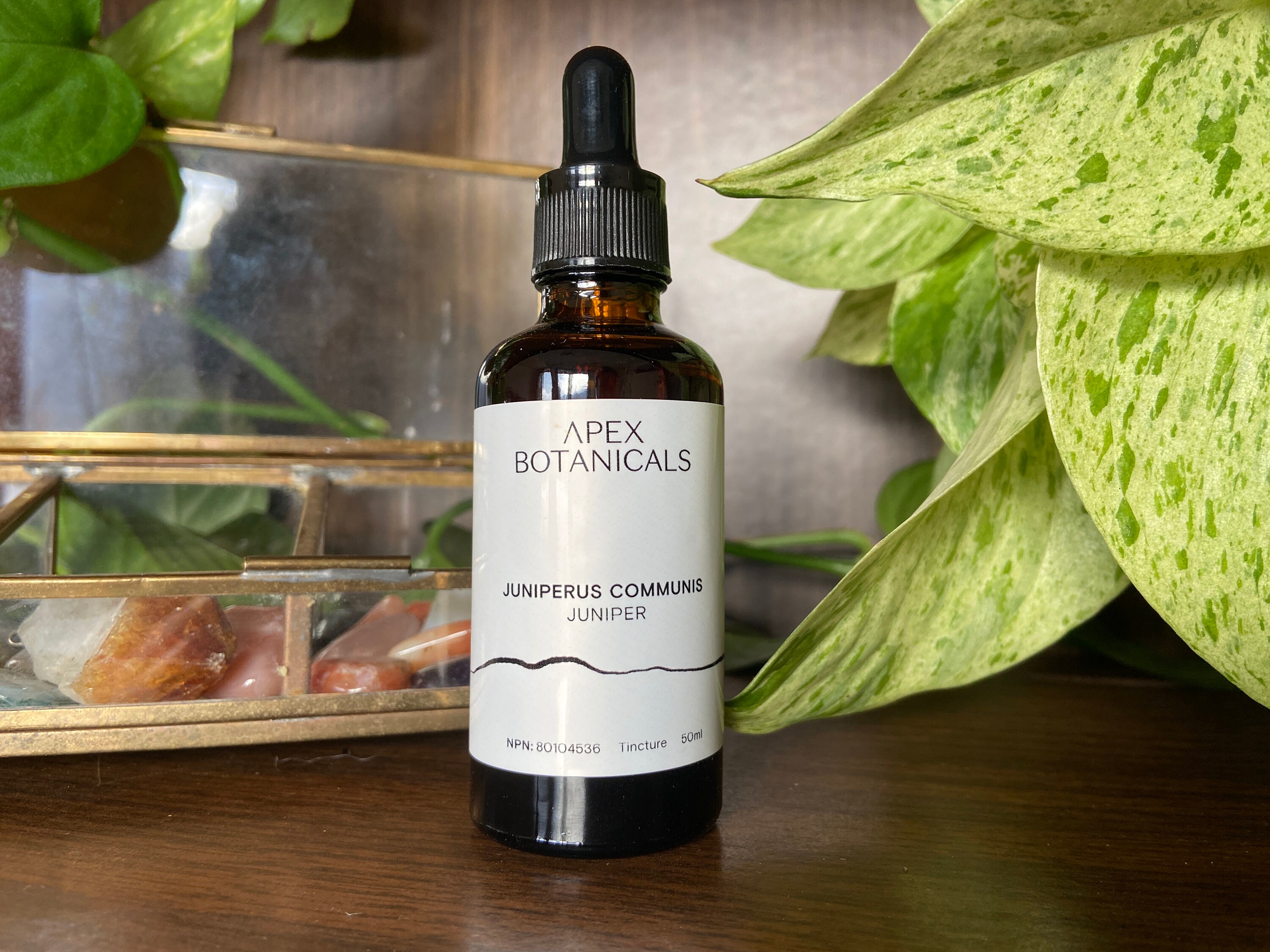 Juniper Tincture Urinary Tract Digestive Enzyme Etsy